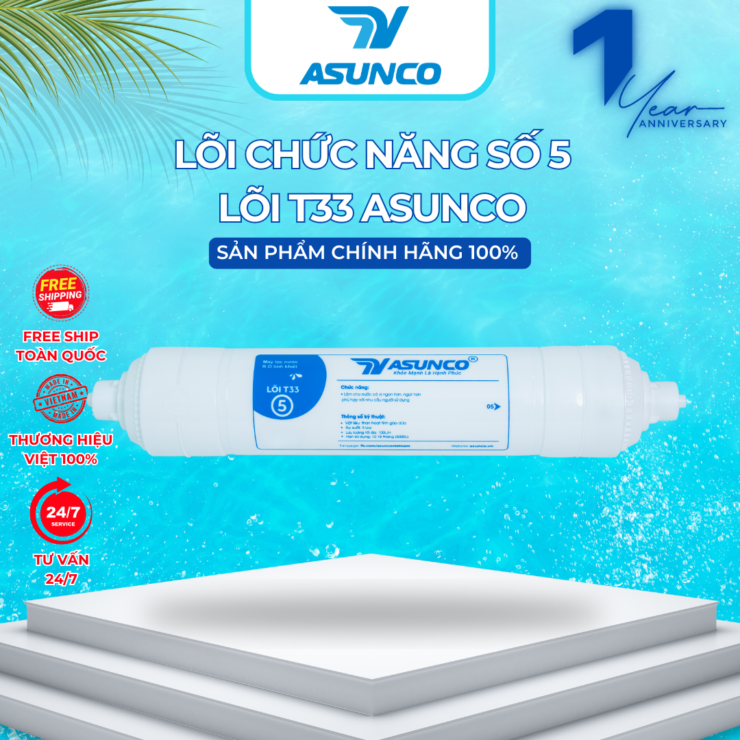 LÕI CHỨC NĂNG SỐ 5 T33 ASUNCO